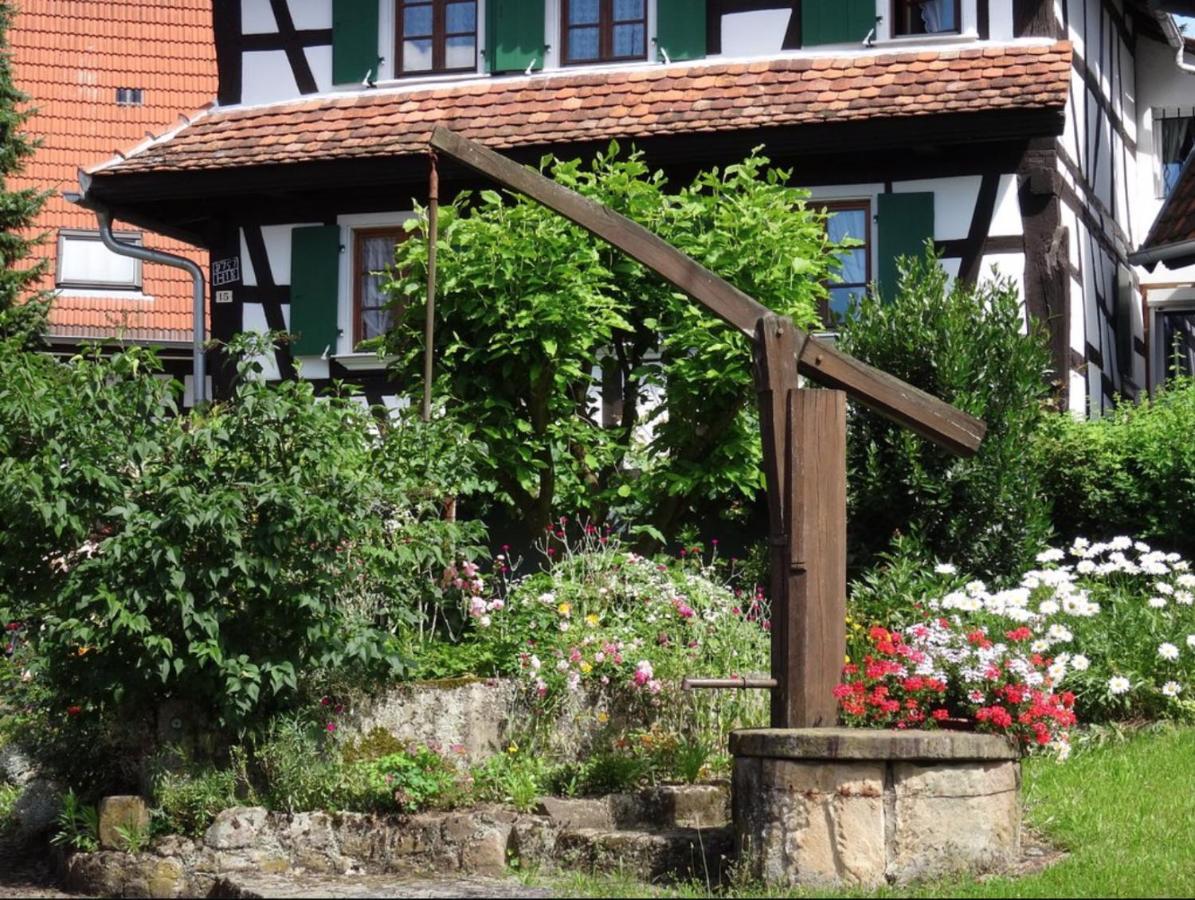 Gites Et Chambres D'Hotes Maison Ungerer Hunspach Екстериор снимка