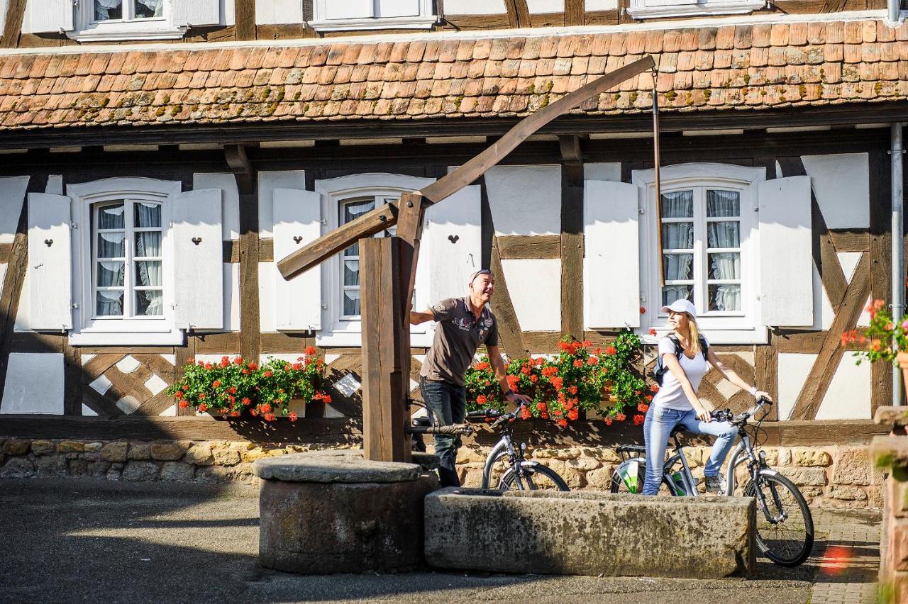 Gites Et Chambres D'Hotes Maison Ungerer Hunspach Екстериор снимка