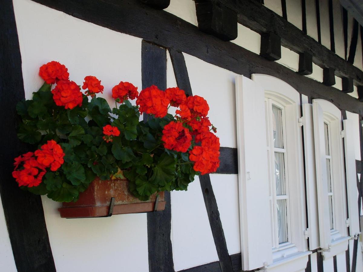 Gites Et Chambres D'Hotes Maison Ungerer Hunspach Екстериор снимка