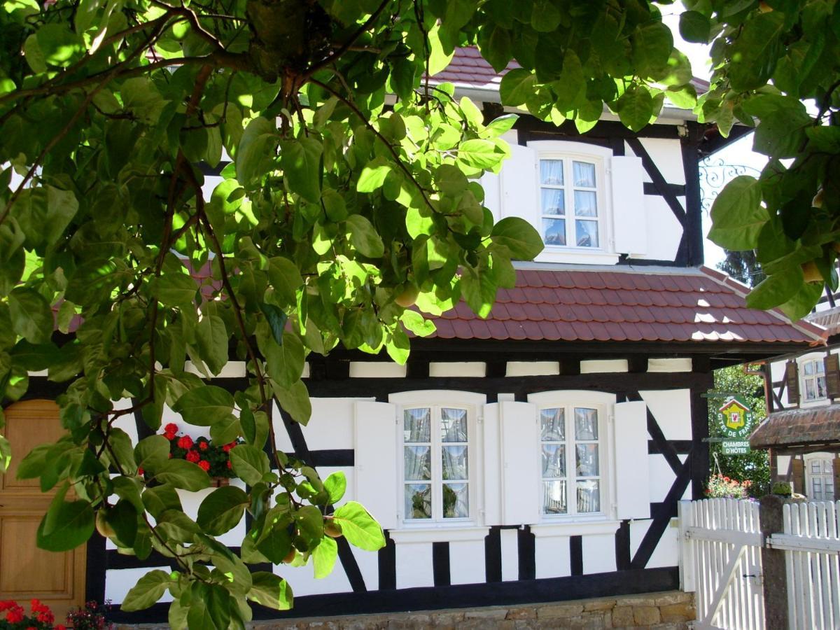 Gites Et Chambres D'Hotes Maison Ungerer Hunspach Екстериор снимка