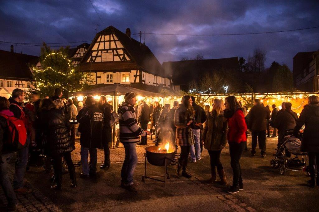 Gites Et Chambres D'Hotes Maison Ungerer Hunspach Екстериор снимка