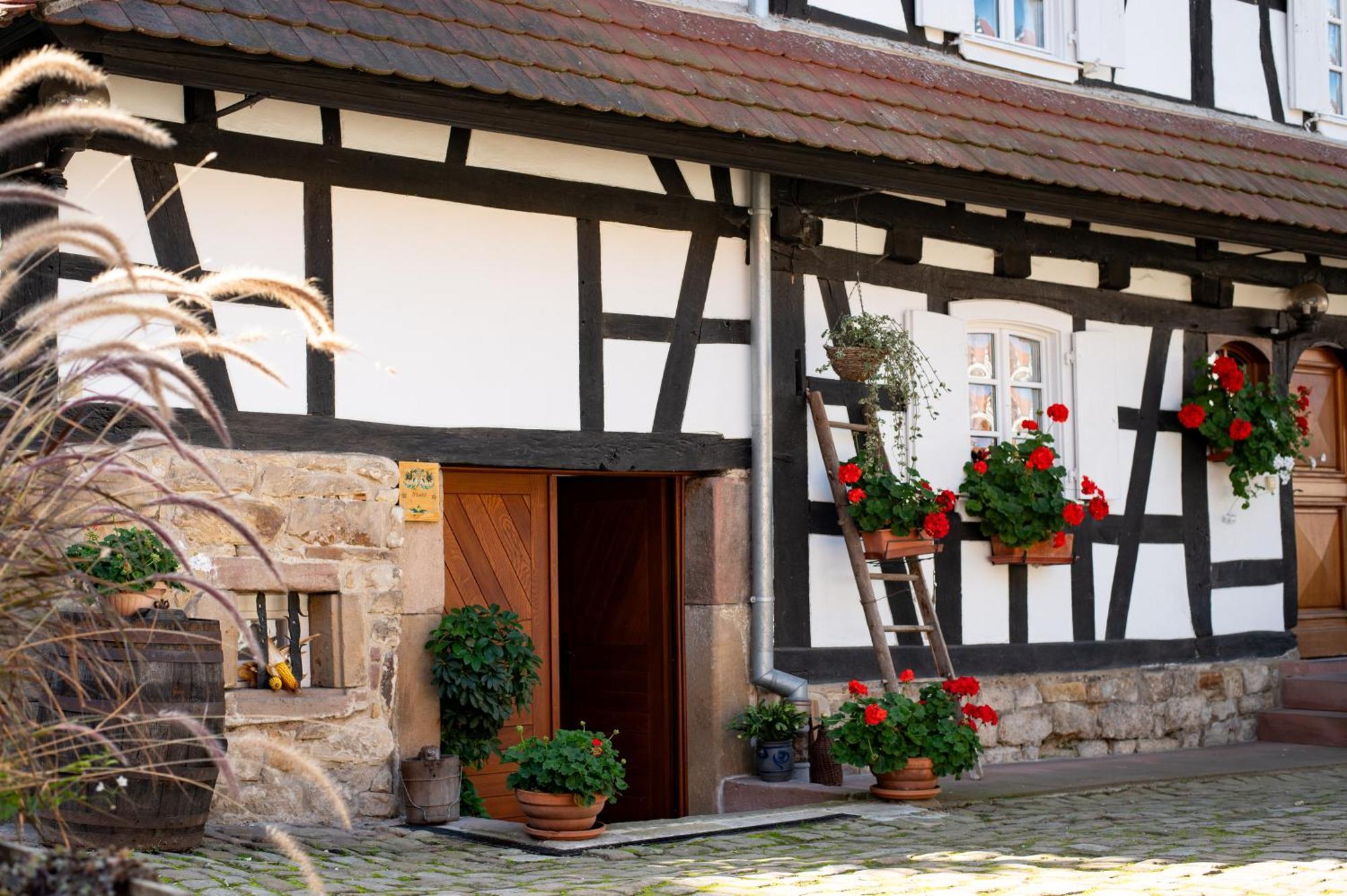 Gites Et Chambres D'Hotes Maison Ungerer Hunspach Екстериор снимка