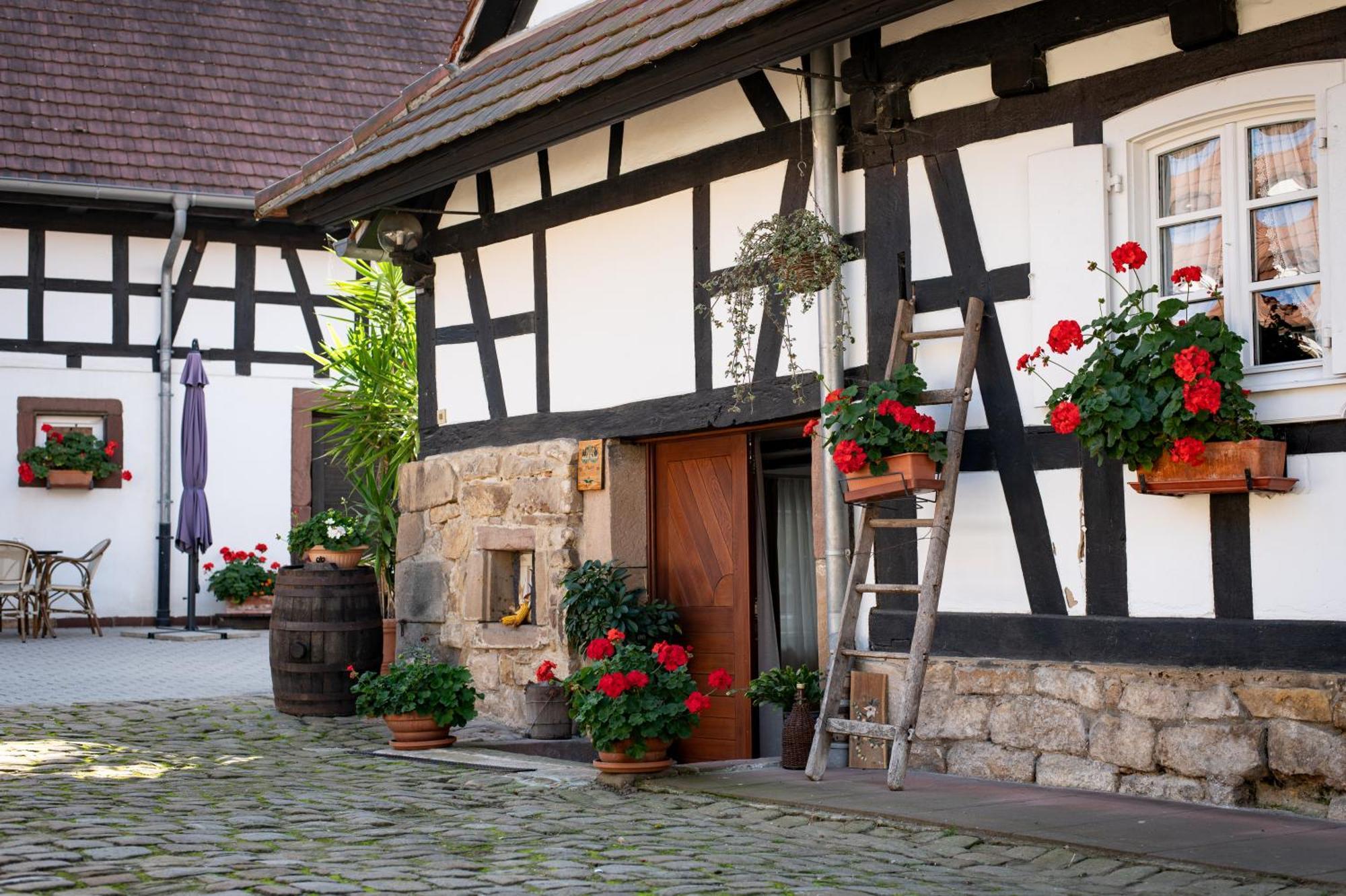 Gites Et Chambres D'Hotes Maison Ungerer Hunspach Екстериор снимка